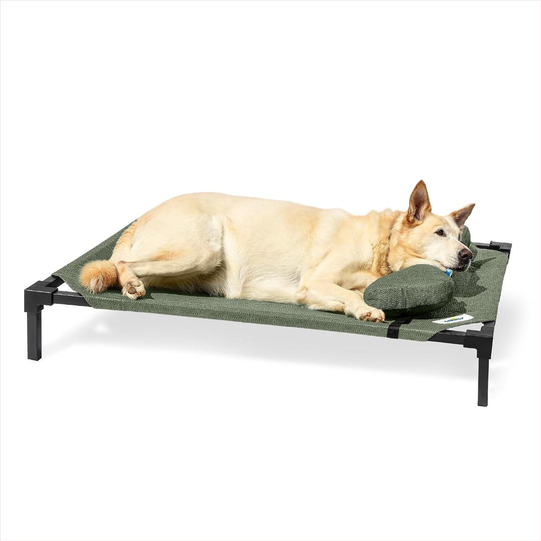 Coolaroo Pro Elevated Dog Bed with HeatShield Fabric Advanced Cooling Raised Cot for Small & Medium Breeds, Easy-Clean, Low-to-Ground Access, Bonus Bolster Pillow Everglade Green