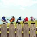 HUYIENO 5PCS Vivid Metal Birds Fence Decor 2D Color Painted Outdoor Garden Natural Bird Sculptures for Outdoor Fences, Patio, Garden and Bird Lovers