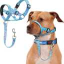 No-Pull Dog Head Collar, Print Head Halter Collar for Dogs, Gentle Lead to Stop Heavy Pulling, Anti-Pull Training Muzzle Leash for Easy Control on Walks (Blue, Small)