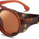 FEISEDY Retro Round Steampunk Sunglasses Women Men Vintage Eyewear Light Plastic Frame with Leatherwear B2532 (Brown)
