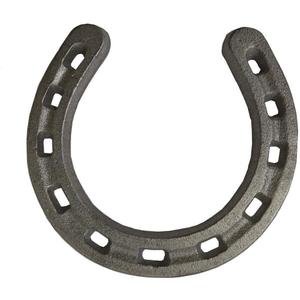 D-Doner Cast Iron Horseshoe Wall Decor, Medium Horseshoe Sturdy Cast Iron for Indoor Or Outdoor