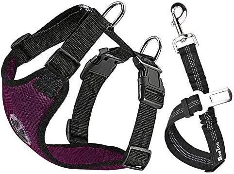 SlowTon Dog Seat Belt Harness for Car, Dog Car Harness Adjustable Mesh Breathable & Dog Seatbelt Safety Tether with Elastic Bungee for Small Medium Large Pets(Burgundy, Single Clip, S)