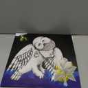 MAGNOLIA ELECTRIC COMPANY CO by Songs: Ohia, Vinyl