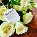 Good Earth Tea Sweet & Spicy Matcha Green Tea, 18 Teabags (Pack of 6) (EXP 12/22/27)