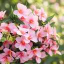 10 Bundles Artificial Flowers Bulk for Party Table Centerpiece Small Lilies with 7 Heads Silk Fabric Faux Fake Flower Bouquet for Wedding Home Indoor Vases(Pink)
