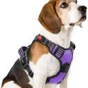 Rabbitgoo Dog Harness Medium Sized, No Pull Pet Harness with 3 Buckles, Adjustable Soft Padded Vest with Control Handle, Walking Reflective Pet Vest for Medium Dogs, Purple, M