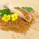 4 x 500+ Seeds Mustard - Vegetable Yellow