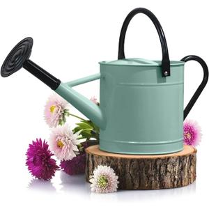 Plexon 1 Gallon Metal Watering Can Outdoor, Flower Plant Gardening Garden Large Watering Can Pot, Black Galvanized Steel Handles and Removable Spray Spout, Aqua Mist Blue