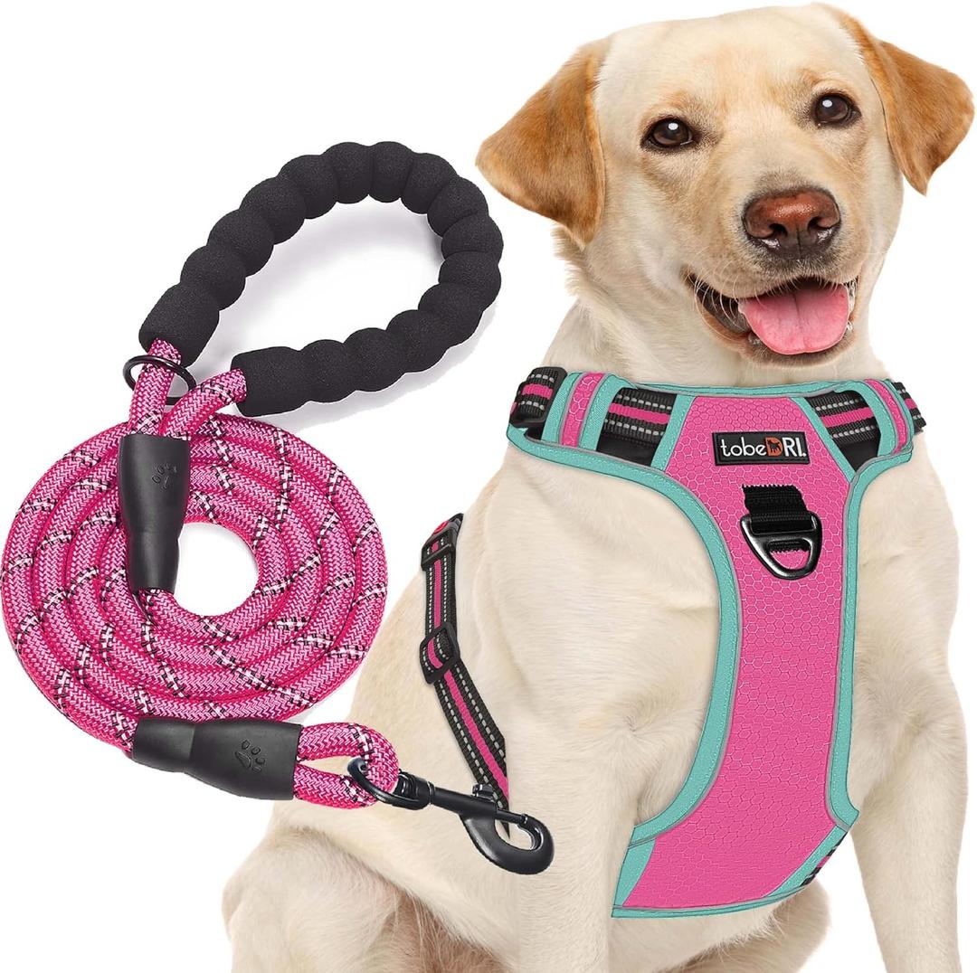 No Pull Dog Harness Adjustable Reflective Oxford Easy Control Medium Large Dog Harness with A Free Heavy Duty 5ft Dog Leash (Small, Pink/Blue Harness+Leash)