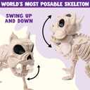 JOYIN 16 Posable Puppy Skeleton Halloween Decorations Realistic Plastic Dog Animal Bones with Movable Joints for Halloween Indoor Outdoor Decor Spooky Scene Party Favors Graveyard Decor