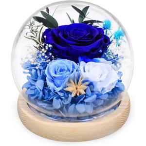 FIACO Preserved Rose Birthday Gift for Women Forever Fresh Flowers for Prime Delivery Gift for Mom Grandma Wife Valentines Mothers Day Christmas Anniversary Eternal Roses in Glass Dome (Dark Blue)