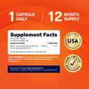 Purely Holistic Vitamin C 1000mg, 365 Capsules, 12 Month Supply, 2 Stage Timed Release with Ascorbic Acid, Rosehip & Acerola Cherry Bioflavonoid, Immune System Support, Vegan, Exp: 02/2029