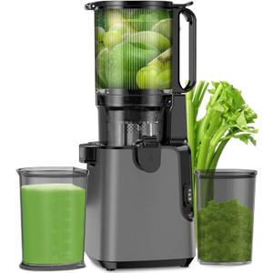 Juicer Machines with 5.8" Extra Large Feed Chute, Cold Press Juicer For Whole Vegetables and Fruits, 400W Professional Slow Masticating juicer Easy to Clean for Batch Juicing (Titanium Gray) (Titanium Gray)