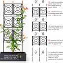 Trellis for Climbing Plants Outdoor, 24 Rifny Tall Garden Trellis Flower Rose Cucumber Trellis for Vines Pea Support, Wall Large Plant Trellis Fence with Plastic Screen Frame, 2 x 6.2 FT