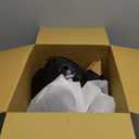 Dorman 955-003 Passenger Side Door Mirror Compatible with Select Ford Models