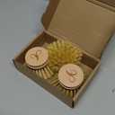 Classic Dish Brush Replacement Head 3 Packs, Natural Bristle Tampico Fiber for All Purpose Cleaning, Kitchen Scrubber