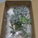 GREENTIME 6 Pcs Green Artificial Succulent Plants in Mini White Ceramic Pots Small Fake Succulent Plant Faux Indoor Decor Bedroom Desk Bathroom Office Living Room Table Shelf Home Decoration