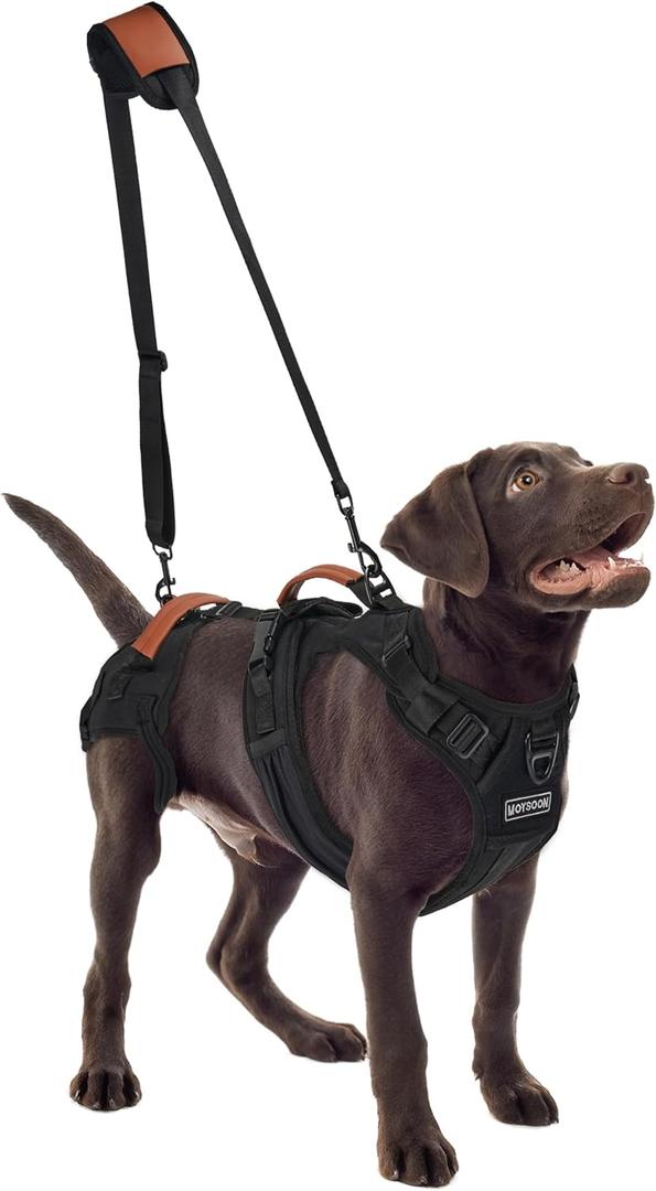 Dog Lift Harness, Full Body Dog Harness with Handle for Lifting, Front/Back Leg Support, Prevent Chafing Pee-Able Design, 2-in-1 Detachable Dog Assist Harness for Senior Disabled Dogs Up to 55lb