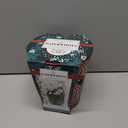 PaperwhitesFlower Grow Kit GSB, 3 CT