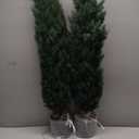 Hananona 2 Pcs 4 Ft Artificial Topiary Cedar Trees, Outdoor Faux Pine Shrubs, Realistic Fake Greenery Plants UV Resistant Cypress Trees for Christmas Porch Front Door Decor (2, Green, 4 Ft)