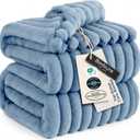 Bedsure GentleSoft Queen Blanket for Bed - Cozy Soft Blankets for Women, Cute Large Fall Throws for Girls, Blue, 90x90 Inches