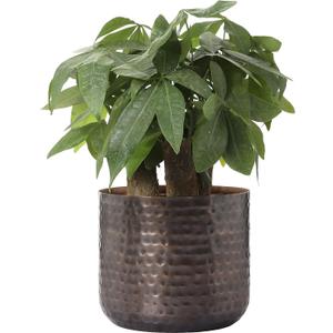 MyGift 6 Inch Vintage Copper Tone Metal Vase, Flower Pot with Hammered Texture, Cylindrical Indoor Succulent Plant Container - Handcrafted in India