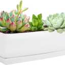 Vencer 14 Inch Rectangular Modern Minimalist Ceramic Succulent Planter Pot - Window Box with Saucer,Office Desktop Potted Stand,White,VF-0173W