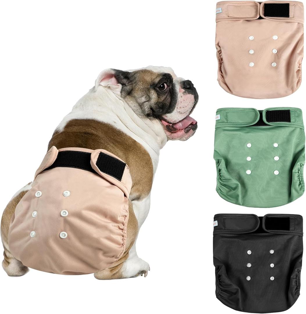 Langsprit Frenchie Female Dog Diapers No Tail Hole,Reusable Puppy French Bulldog Diapers Female for Period Heat,Washable Small Medium Large SizeLarge (Pink,Green,Black)