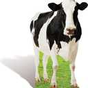 4FT Cow Cardboard Cutout Life-Size Animal Cutout Realistic Farm Animal Photo Booth Prop Decor for Parties, Farm-Themed Events, Classrooms, Birthday Decoration Supplies 29.76 x 47.24 Inches
