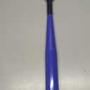 Baseball Bat Steel with Carrying Bag (21 in, Blue)