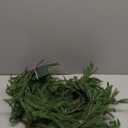 Norfolk Pine Garlands with Light Pre-Lit Christmas Garland,Dense Norfolk Pine Real Touch Garlandfor Table, Mantle, Staires, Wall, Premium Indoor/Outdoor Christmas Decorations (1, 6ft)