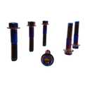 Rison Titanium Flanged Hex Head Bolt M10x1.25x25mm 6AL4V Aerospace Grade Ti Burnt Blue for Motorcycle Car Modification - Pack of 5 (Black)