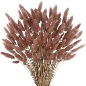 CISDUEO 120pcs Dried Bunny Tails Flowers Lagurus Ovatus Tail Dried Flowers Pampas Grass Red Brown Natural Dried Floral Arrangement for Boho Decor Home Wedding DIY Farmhouse Table Christmas