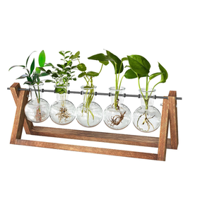 CFMOUR Plant Terrarium with Wooden Stand, Desktop Propagation Stations Glass Air Planter Metal Swivel Holder for Indoor Live Hydroponics Plants Office Home Garden Decor (5 Bulb Vase)