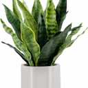 Artificial Sansevieria Plant Fake Snake Plant in Plastic Pot, 22" Tall Real Touch Fakes Plants for Home Decor Indoor, Lifelike Succulent Like Plant for Office Bedroom Living Room-Green