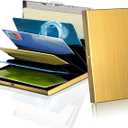Metal Credit Card Holder, RFID Blocking Credit Card Holder 6 Slots, Metal Credit Card Wallet for Men and Women (Golden)