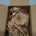 Soap Dish, Self Draining Bar Soap Holder for Bathroom Sink, Leaf Shaped Drainage Ceramic Speckled Soap Dish Porcelain Decorative Soap Dishes, ANTIS'S HOME