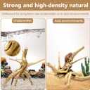 Jorewood Natural Small Spiderwood Driftwood for Aquarium Decor Rptile Fish Tank Decoration Assort Branch 4-7'' 8 Pcs