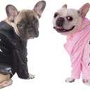 Grease: T-Birds Pet Costume for For Dogs or Cats by Rubies, Medium (Black)