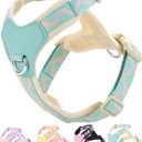 Petank Blue Medium Dog Harness for Medium Dogs, No Pull Dog Harness with 2 Leash Clips,Puppy Harness, Adjustable Dog Vest Harness (Blue, M)