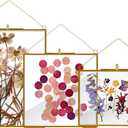 3 Pcs Glass Picture Frame for Pressed Flower,Golden Hanging Photo Frame Clear Glass Artwork Display Frame with Chain for Dried Plant Gallery Wall Decor DIY Home Wall Art