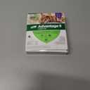 Advantage II Large Cat Vet-Recommended Flea Treatment & Prevention | Cats Over 9 lbs. | 1-Month Supply