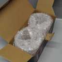 Bodum 10oz Bistro Double Wall Insulated Mug, High-Heat Borosilicate Glass, Set of 2, Clear