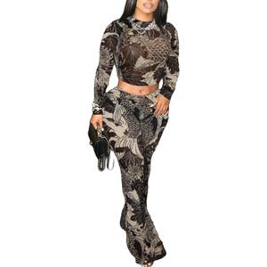 Women's Leopard Print Two Piece Set Mesh See Through Top Bodycon Pants Cheetah Print Set Y2K Club Outfits For Women (Medium)