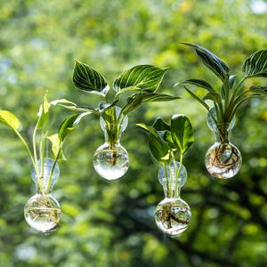 Window Propagation Stations, Propagation Vases for Plants, Bulb Glass Vases with Suction Cup Hooks, Easy to Install Nailless Hanging Wall Planter, Hydroponics Plant Propagation Station (4)
