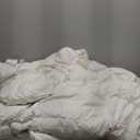 Feathers Down Comforter Queen - 100% Organic Cotton Cover, Medium Warm All Seasons Duvet Insert or Stand-Alone Comforter (90x90, Ivory White)