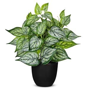 Villa Como 14.5" Artificial Plants Indoor Home Decor Small Faux Plant