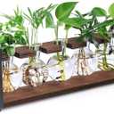 THYGIFTREE Plant Propagation Stations with Wooden Stand, Desktop Retro Plant Terrarium Bulb Vase for Indoor Hydroponic Flowers, Tabletop Glass Planter Housewarming Gifts for Plant Lovers