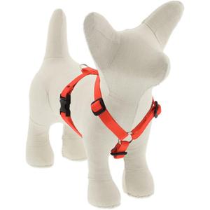 Lupine Small Adjustable Dog Harness 1/2" Wide Blaze Orange with 12-20" Adjustable Girth