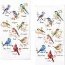 qiuhuang Colorful Bird Kitchen Towels Set of 2 Farmhouse Red Birds Hand Towels Absorbent Floral Hand Towels for Bathroom Bird Lovers Gym Hotel Home Washcloth 28.7X 13.7 Inch Winter Kitchen Towels